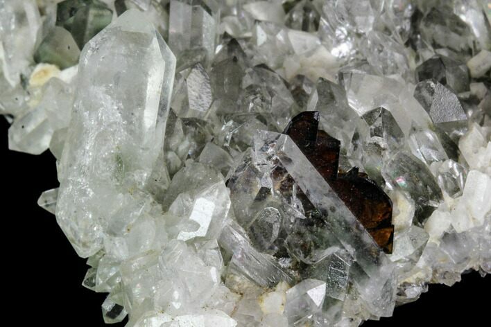 Brookite On Chlorite Quartz - Baluchistan, Pakistan #111330